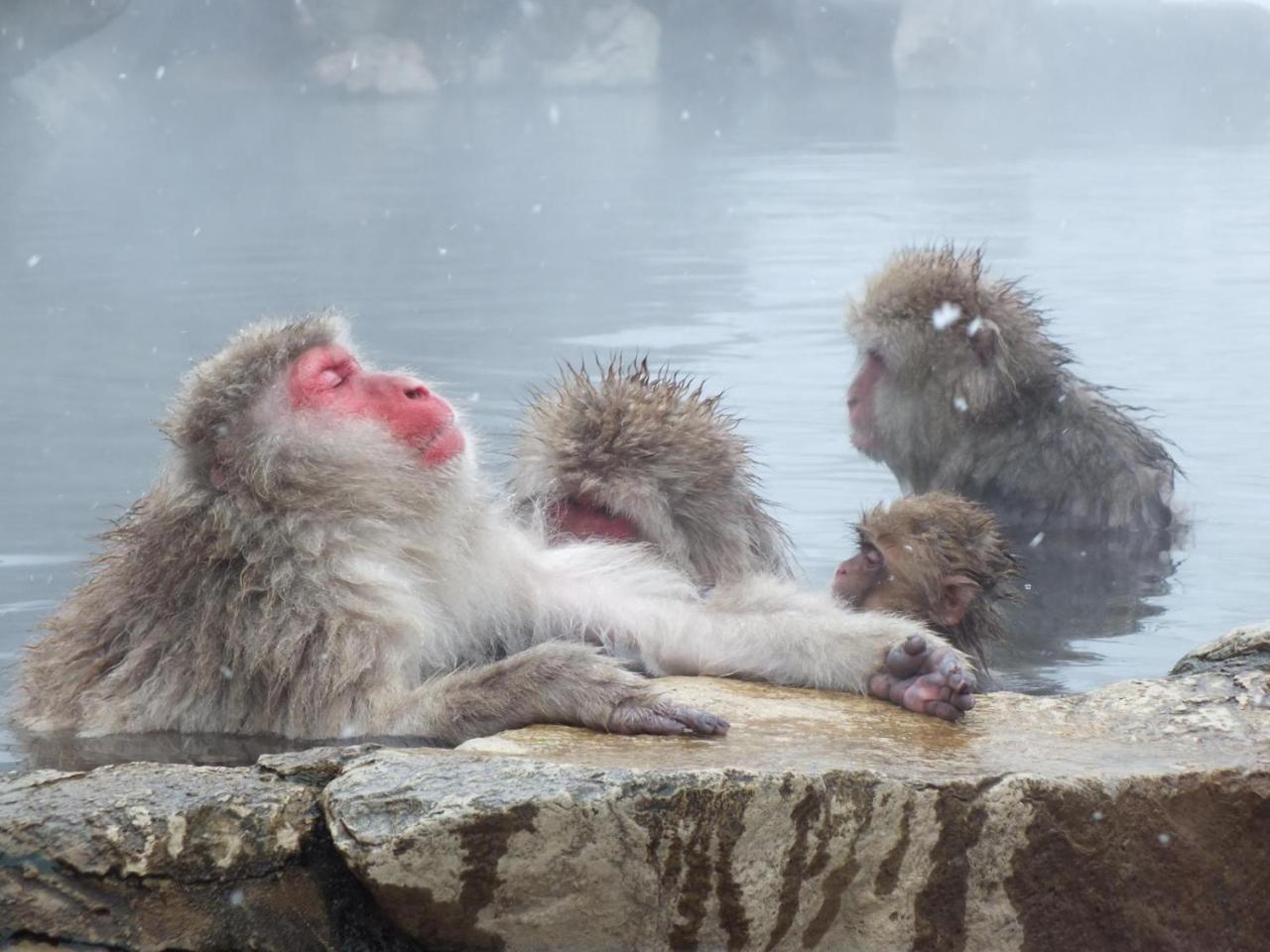 外国人専用の มิตรภาพfriendship ゲストハウス Nagano Kültér fotó